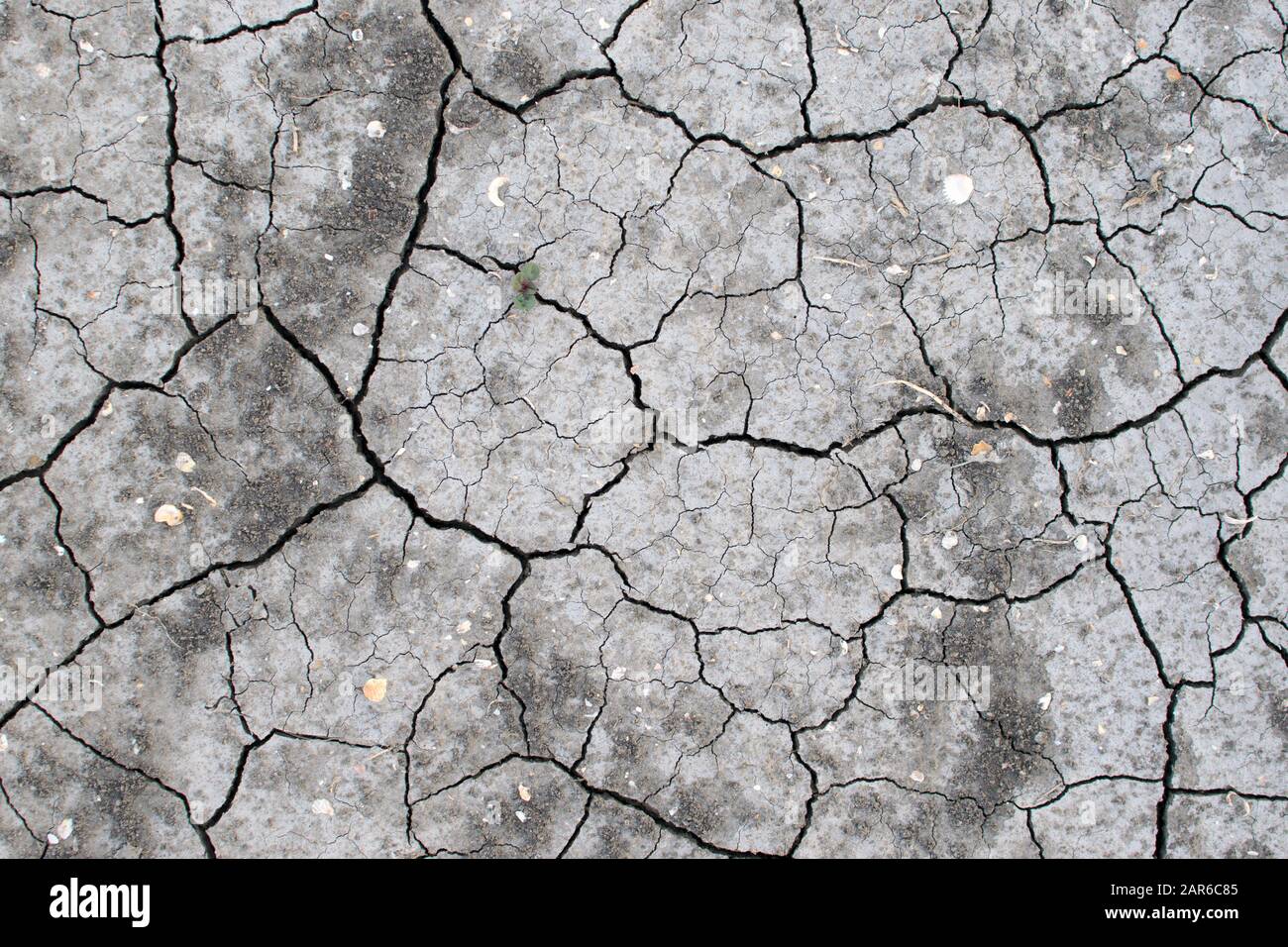 Dry cracked earth top view. Drought season on earth. Shells and dry ...