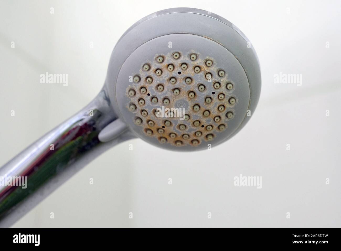 Old shower head with plaque. Dirty plastic shower head. Limescale