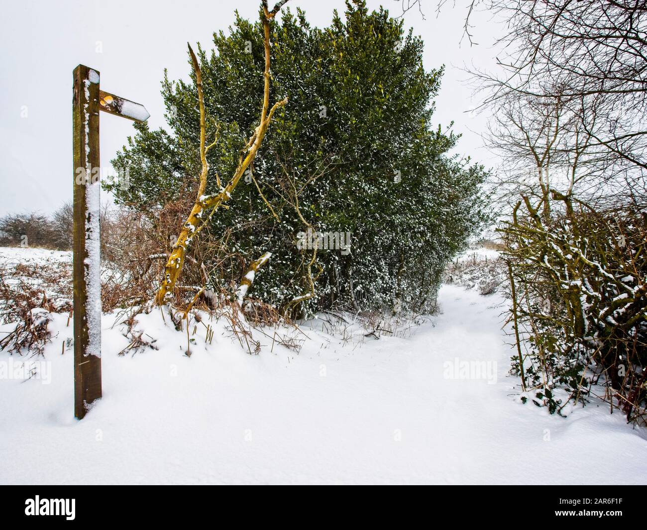 Bad Weather Conditions In The Countryside Stock Photo