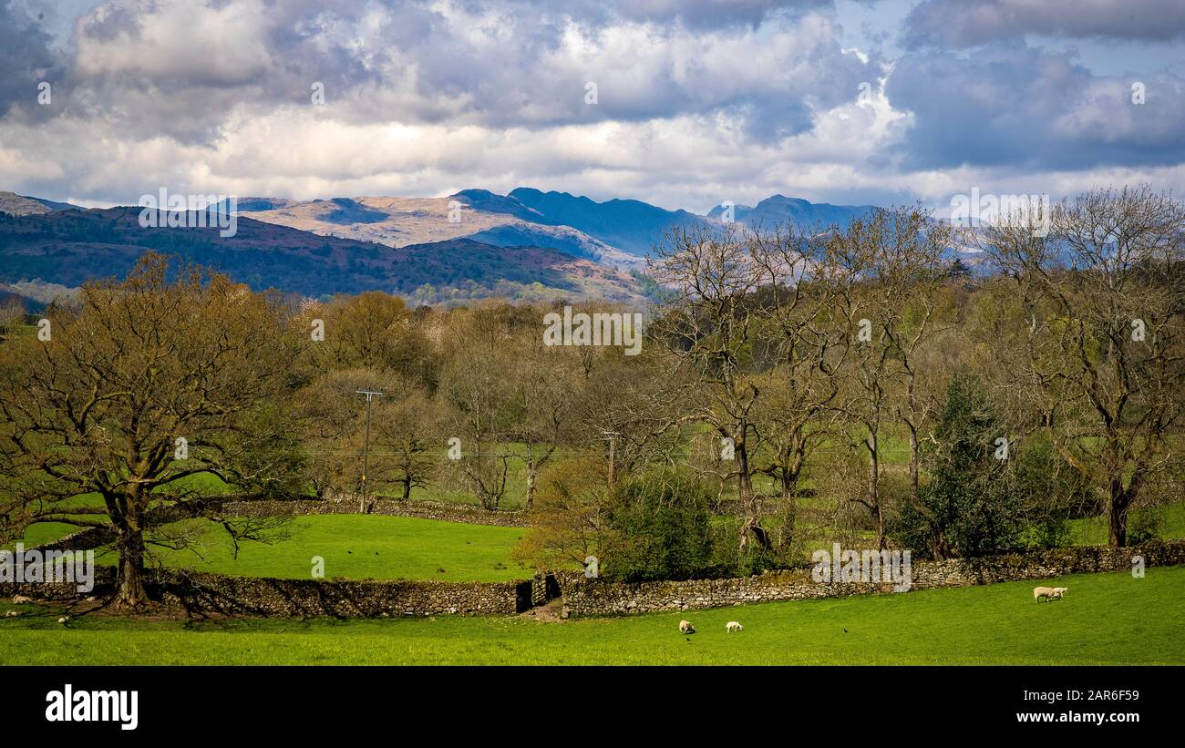 The Rolling Hills and Farmland of The Lake District Stock Photo
