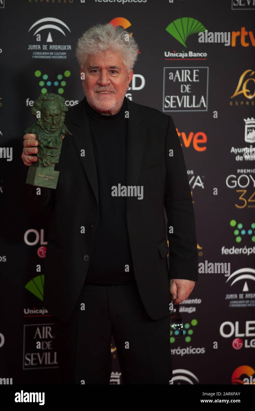 Malaga, Spain. 26th Jan, 2020. Spanish director Pedro Almodovar poses with his Goya award for the best director on 'Dolor y Gloria' (Pain and Glory) during the 34th edition of Spanish Film Academy's Goya Awards ceremony, at Jose Maria Martin Carpena Sport Palace. Credit: SOPA Images Limited/Alamy Live News Stock Photo