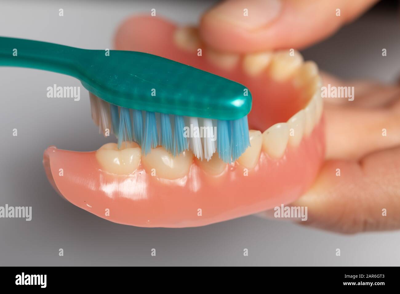 Clean denture hires stock photography and images Alamy