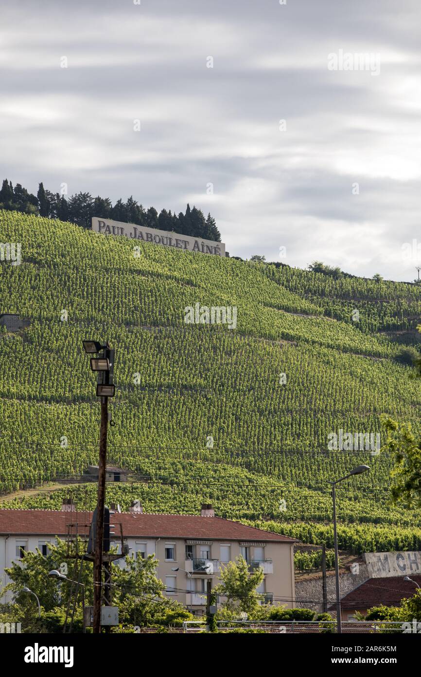 View of the M. Chapoutier Crozes-Hermitage vineyards in Tain l'Hermitage, Rhone valley, France Stock Photo