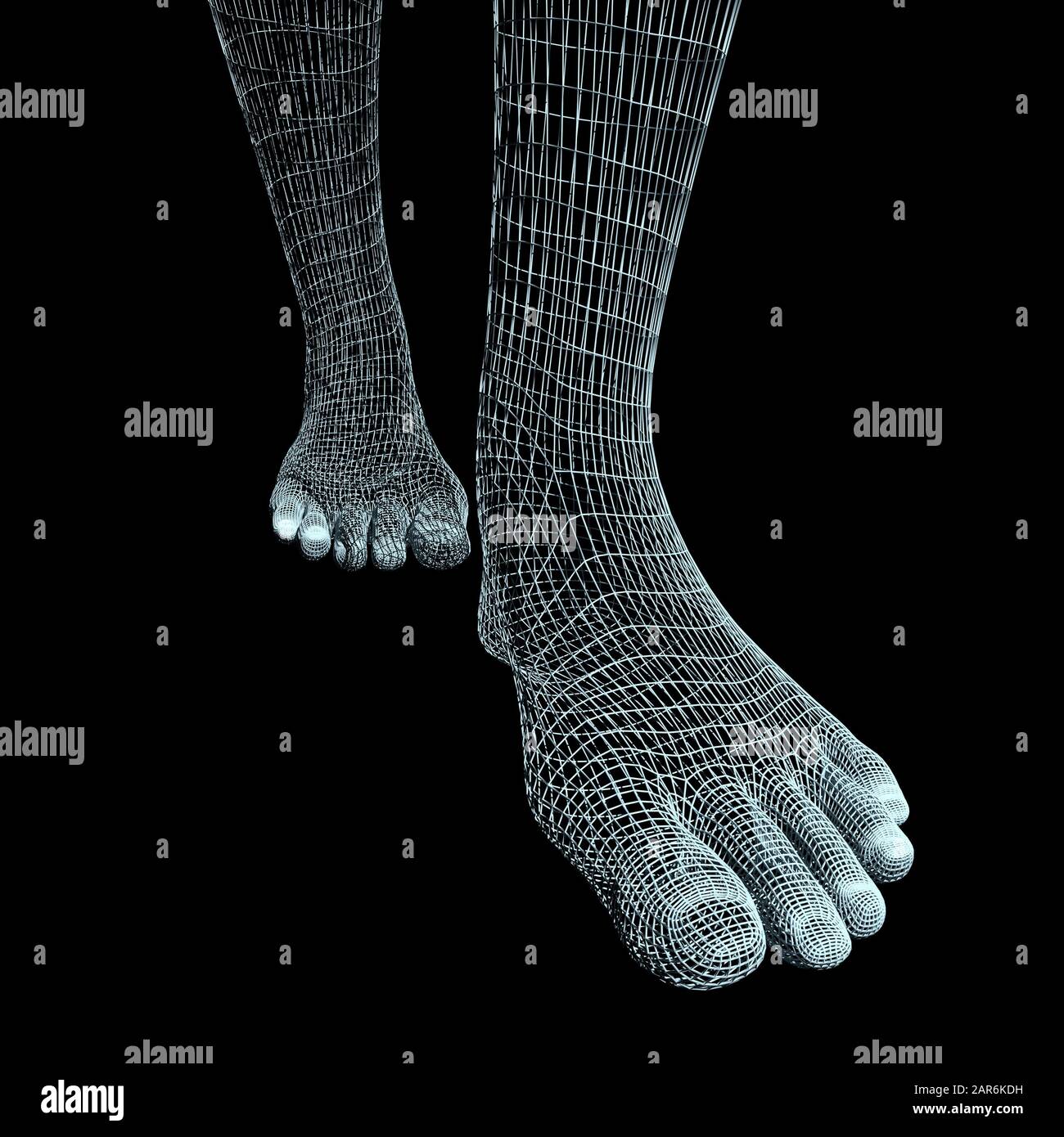 Download Polygonal Woman Legs Wire Frame Style Part Of The Human Body 3d Rendering Stock Photo Alamy