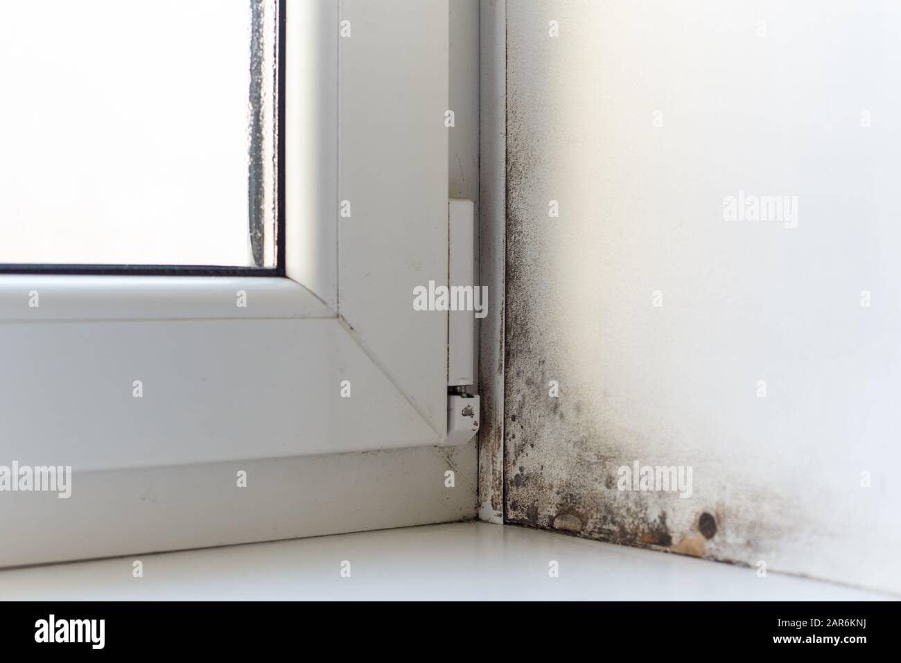 Fungus and dampness at the wet window. Stock Photo