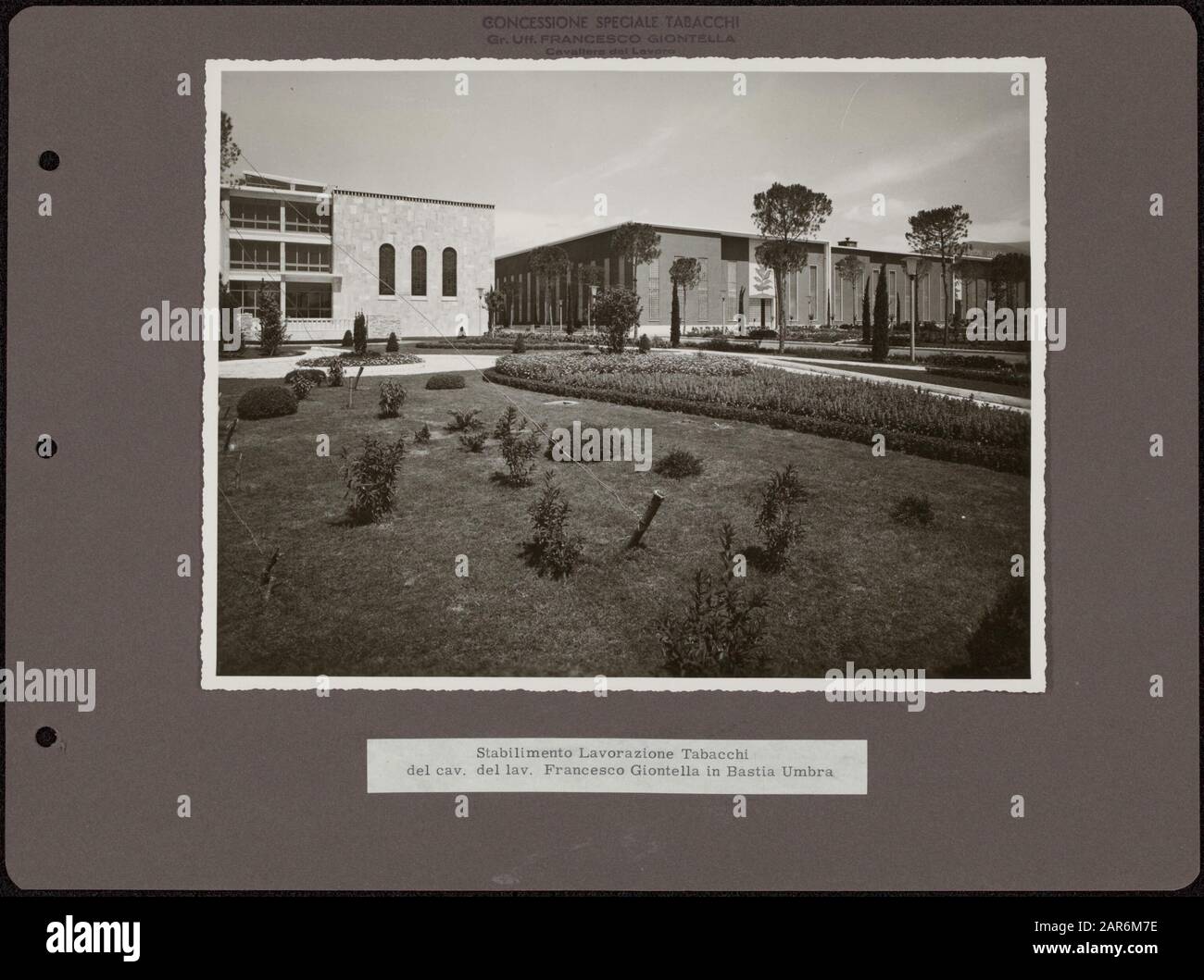 Photo album Deli Company: Tobacco growing Italy Modern office building with  industrial buildings in landscaped garden; design feature: international  style Annotation: Stamp above the picture translated from Italian: License  tobacco production Grand