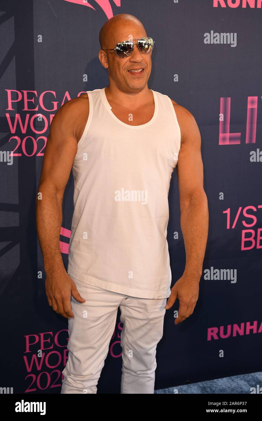 HALLANDALE BEACH FL - JANUARY 25: Vin Diesel  attends the 2020 Pegasus World Cup Championship at David Grutman's LIV Stretch Village held at Gulfstream Park Racing and Casino on January 25, 2020 in Hallandale Beach, Florida. Credit: mpi04/MediaPunch Stock Photo