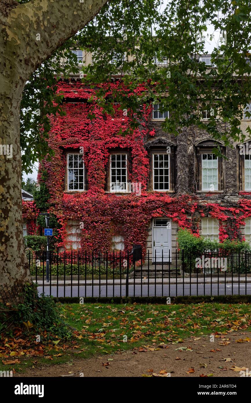 Bath in glorious Autumn colours Stock Photo