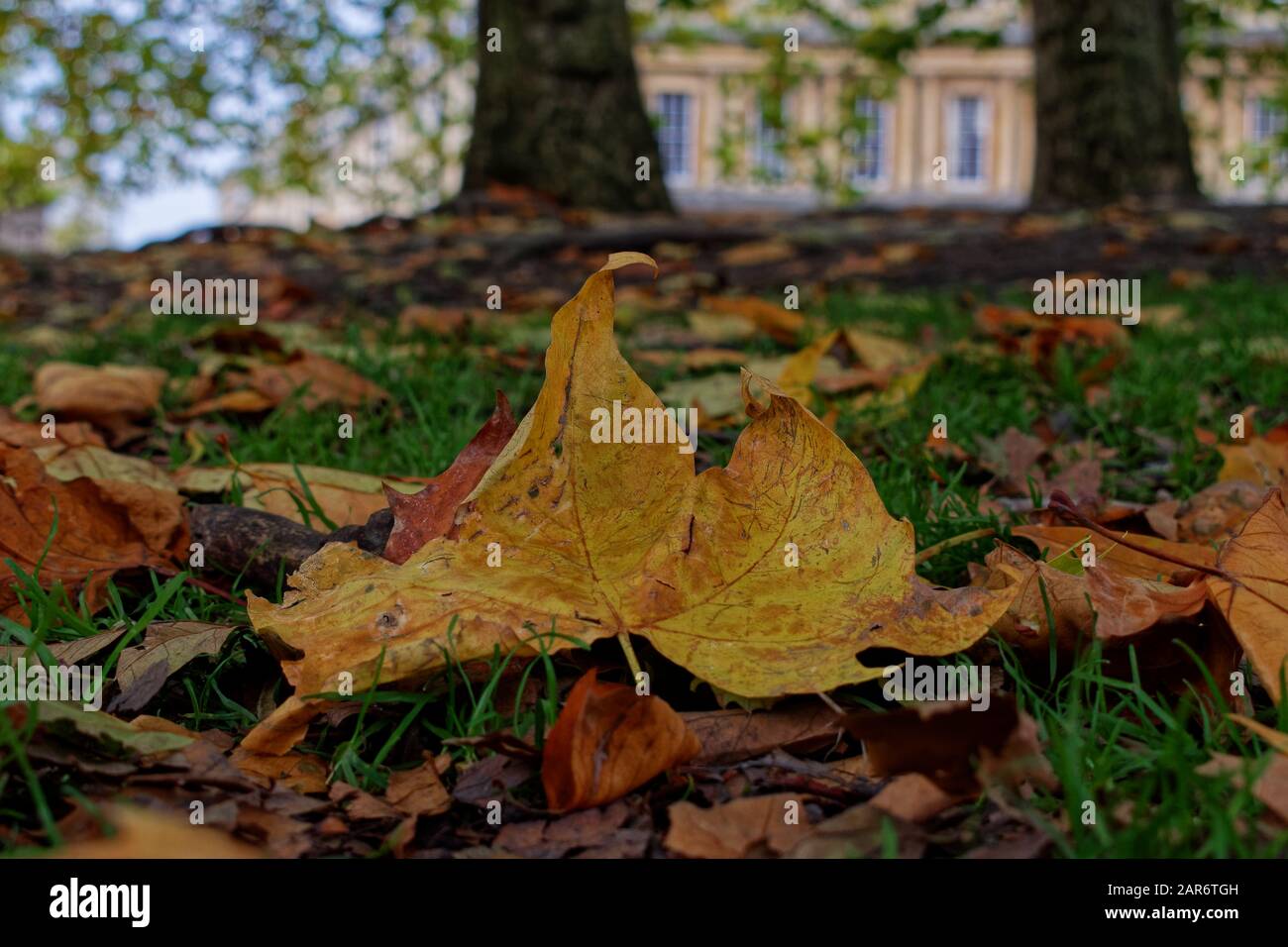 Bath in glorious Autumn colours Stock Photo
