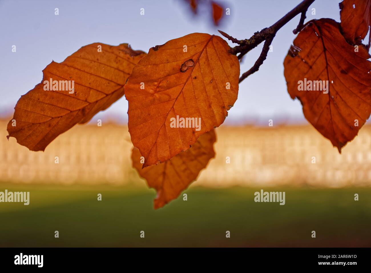 Bath in glorious Autumn colours Stock Photo