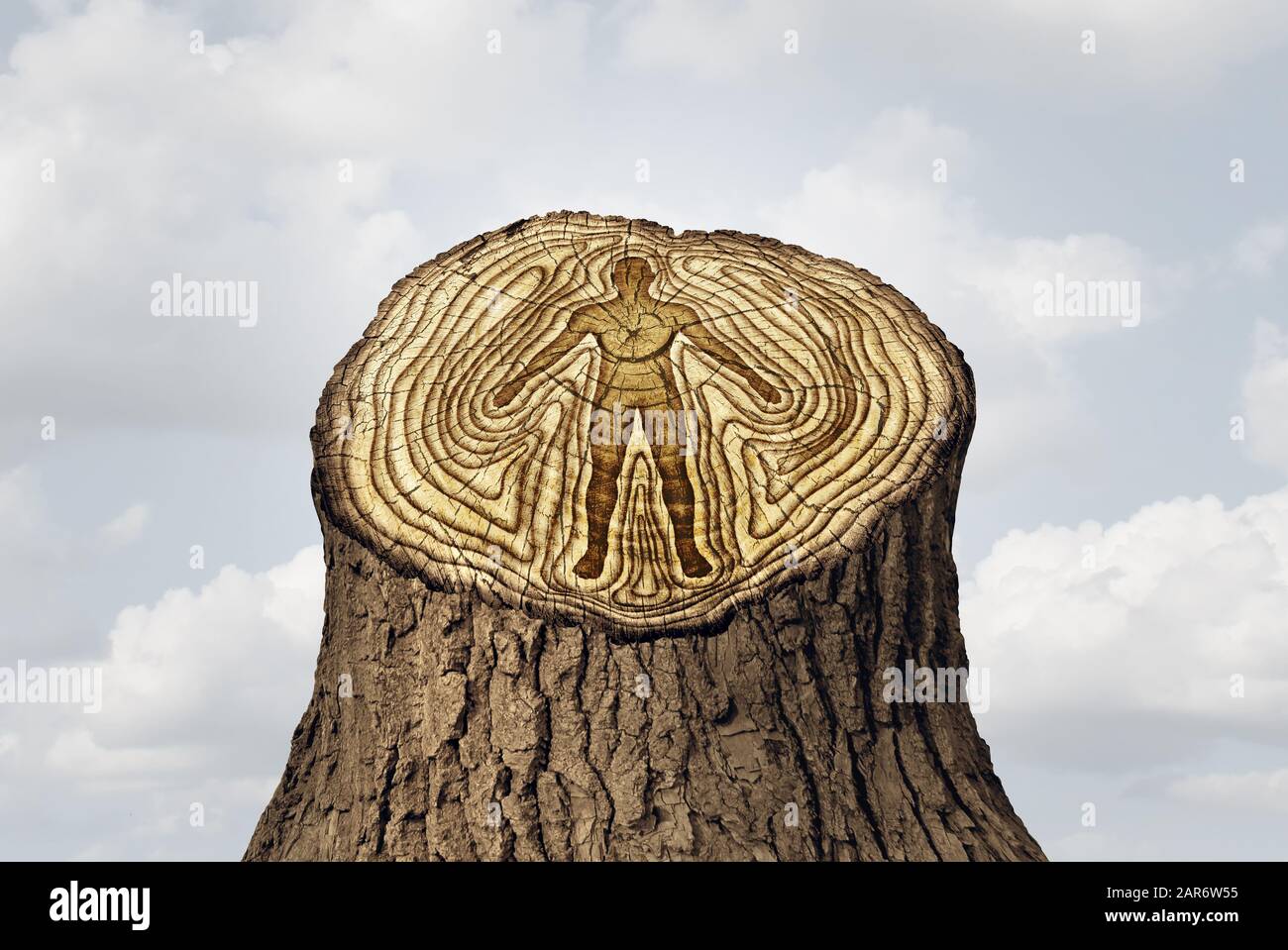 Aging or ageing as a youth and old age time changes concept and a rejuvenation as a life cycle and human health idea as tree rings. Stock Photo