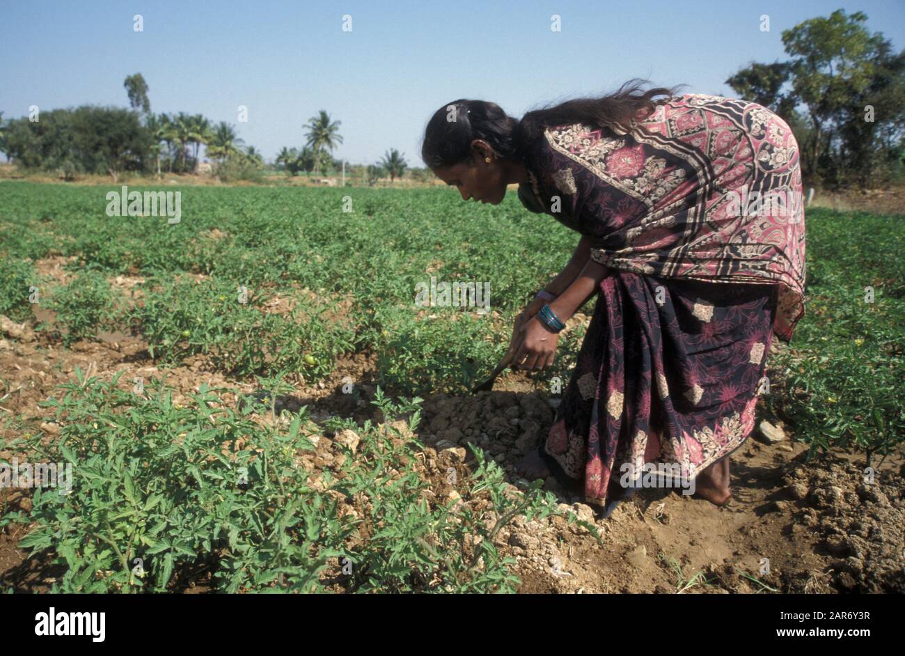 BENEFITS FOR FARMERS IN KARNATAKA visual data 5