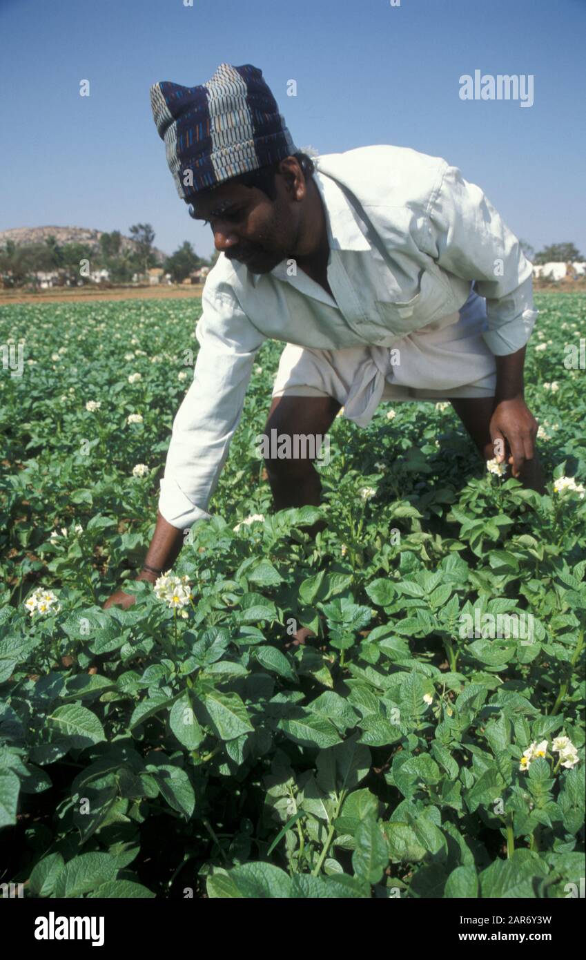 BENEFITS FOR FARMERS IN KARNATAKA visual data 4