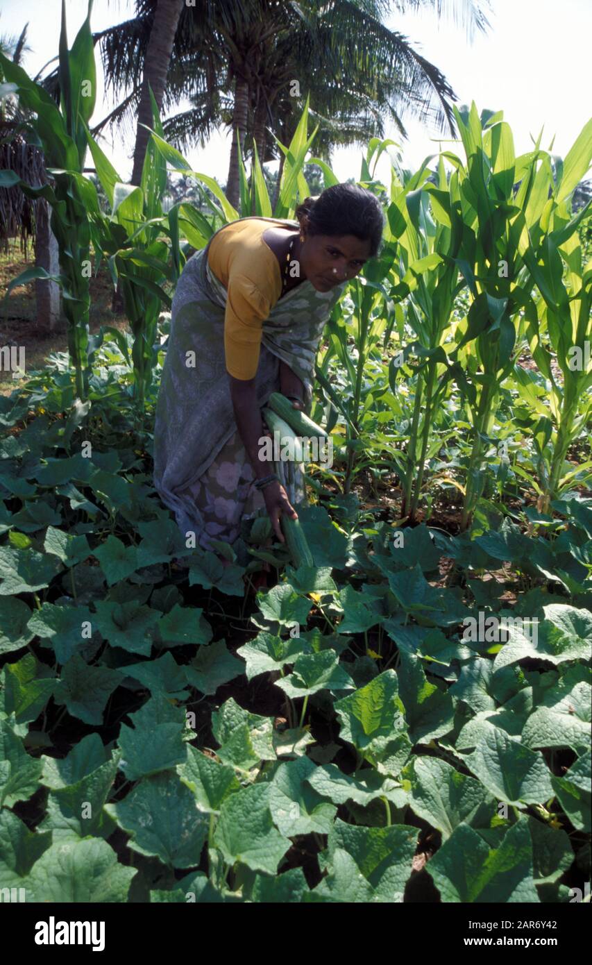 BENEFITS FOR FARMERS IN KARNATAKA visual data 6