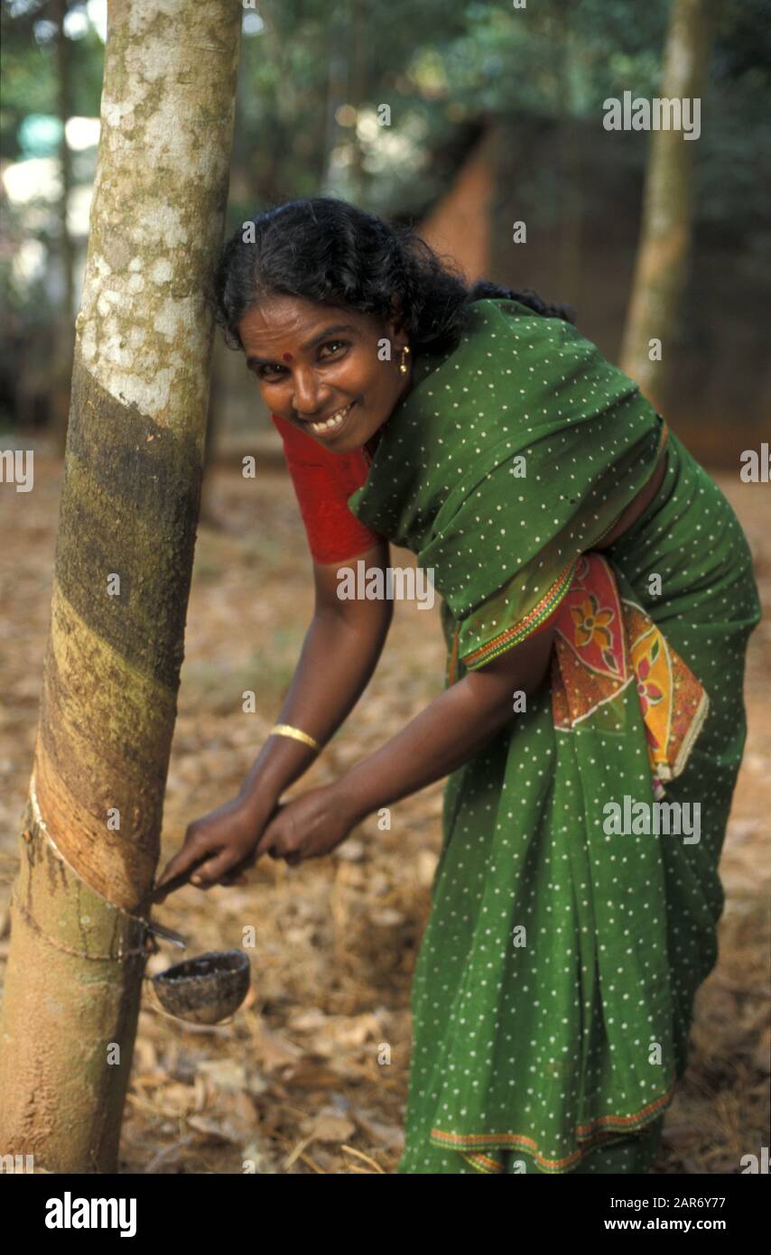 INDIA Woman harvesting rubber, Nagercoil, Tamil Nadu Stock Photo Alamy