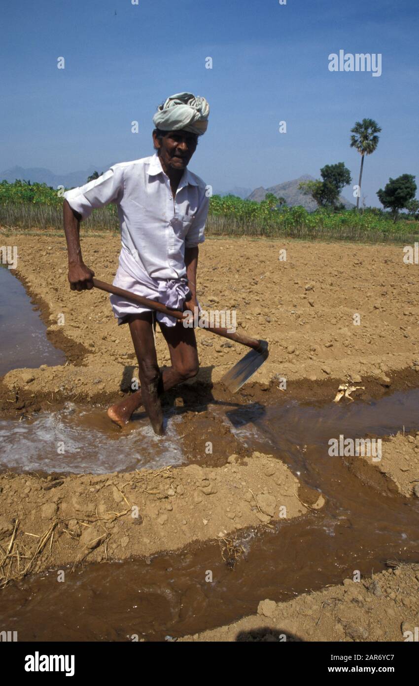INDIA Farming scene, Tamil Nadu Irrigation Stock Photo - Alamy
