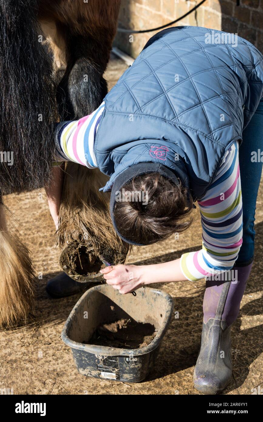 Erzsebet Csak a dray delivery assistant cleans the shoes of one of the