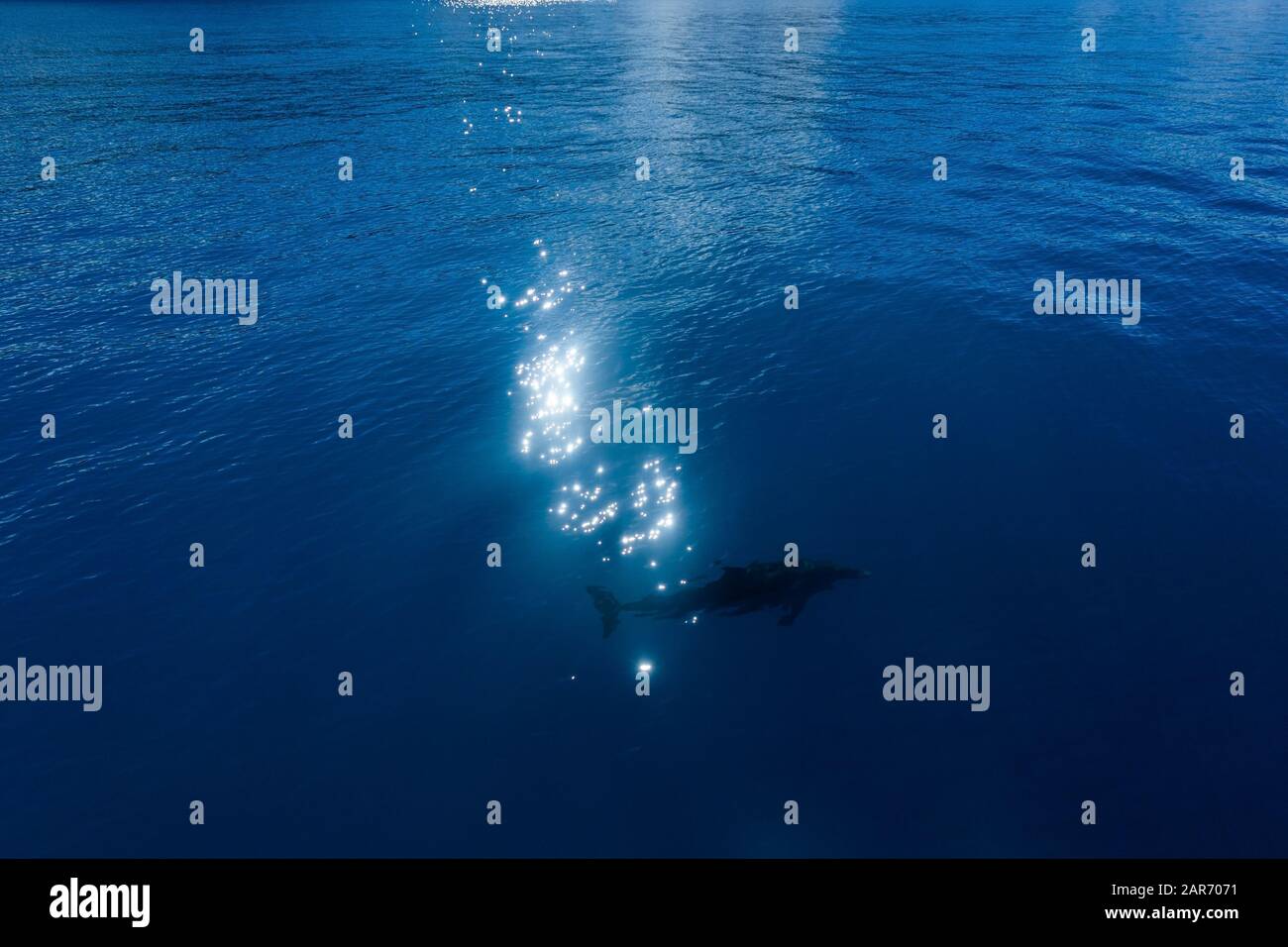 Copy paste background hi-res stock photography and images - Alamy