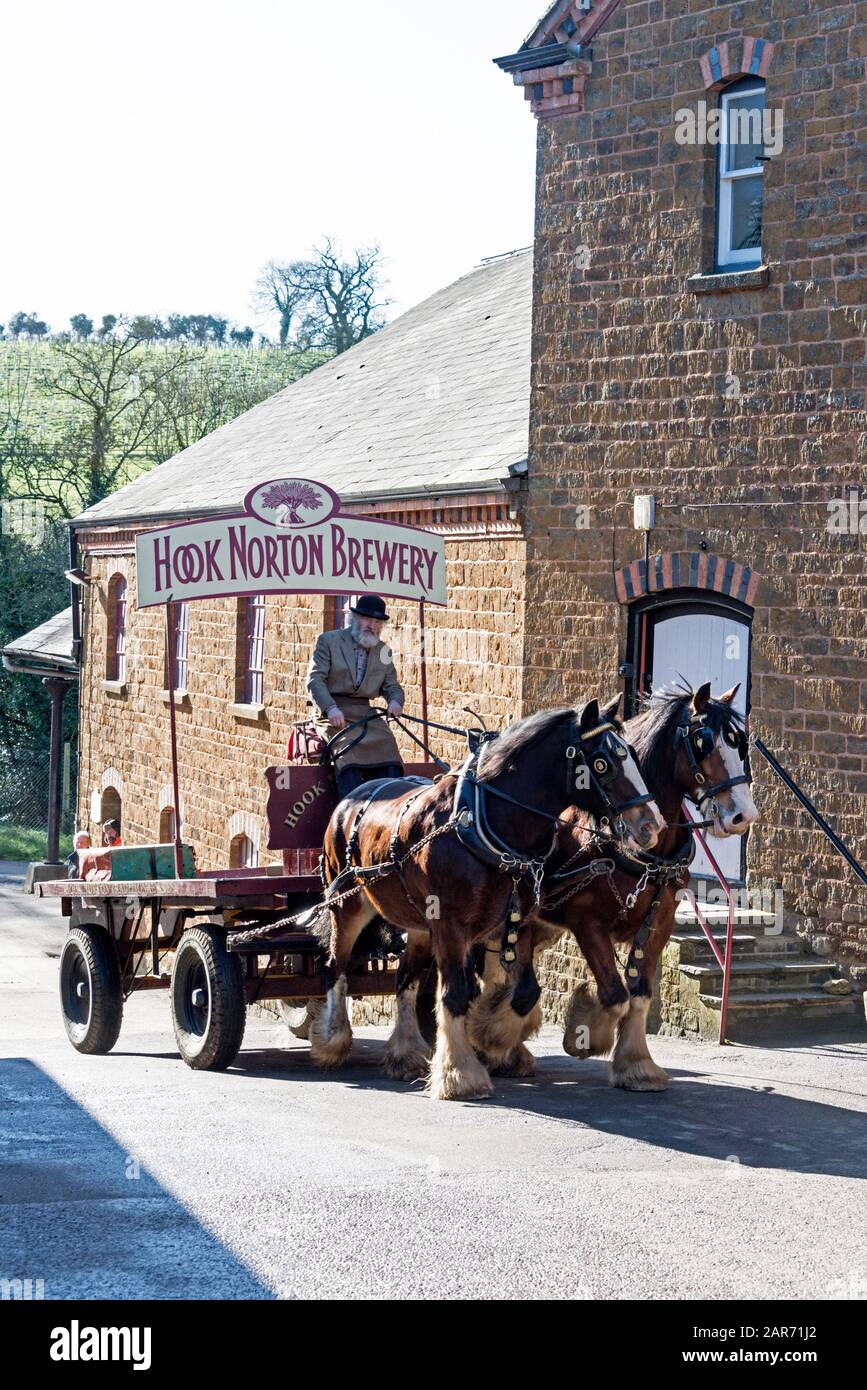 Drayman, Roger Hughes drives his Shire horses and dray at the family