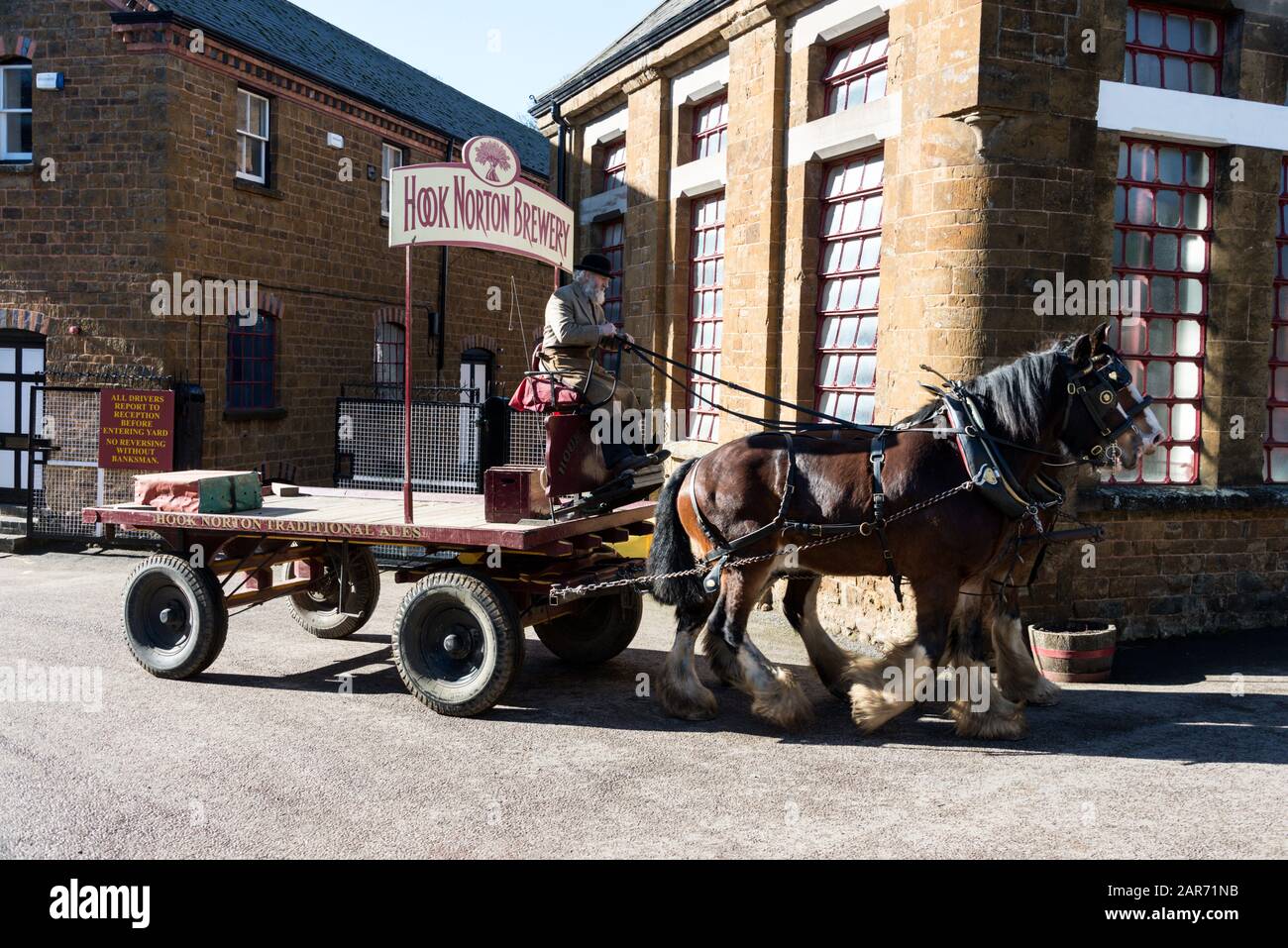Drayman, Roger Hughes drives his Shire horses and dray at the family