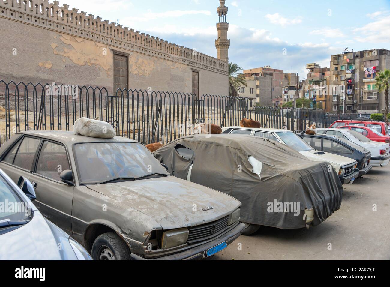 Cairo / Egypt December, 2015 Stray dogs sleeping on old cars Stock