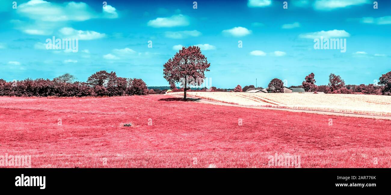 Beautiful pink infrared shots of a northern european landscape with a ...