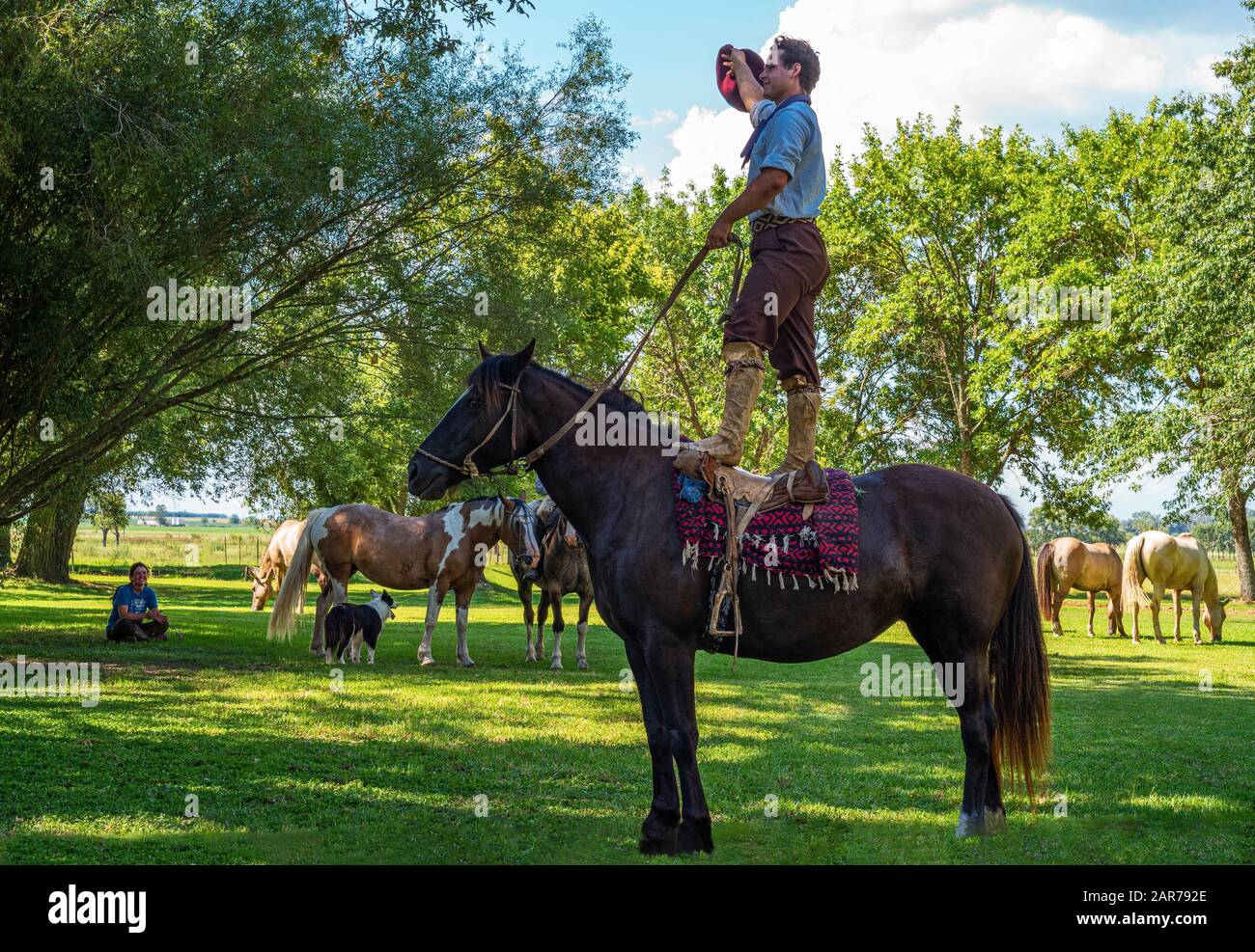 Gaucho argentina lasso hi-res stock photography and images - Alamy
