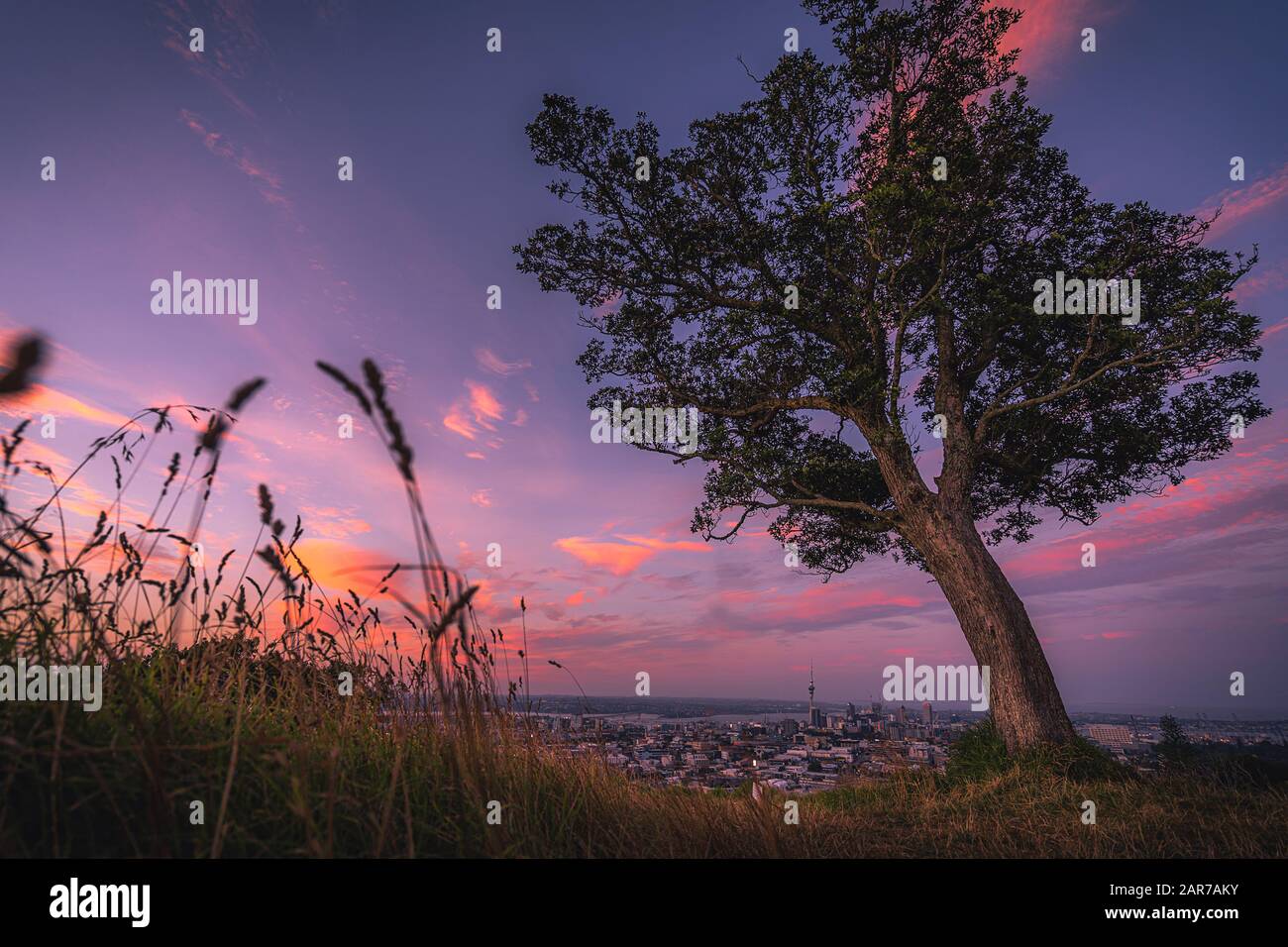 Cityscape image of Auckland, New Zealand taken from Mt. Eden at sunset. Stock Photo