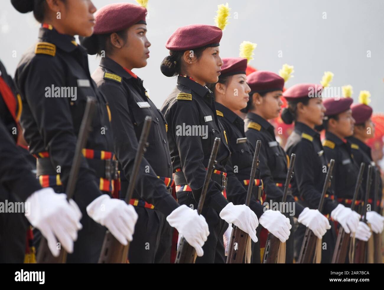 Veterinary college arms hires stock photography and images Alamy