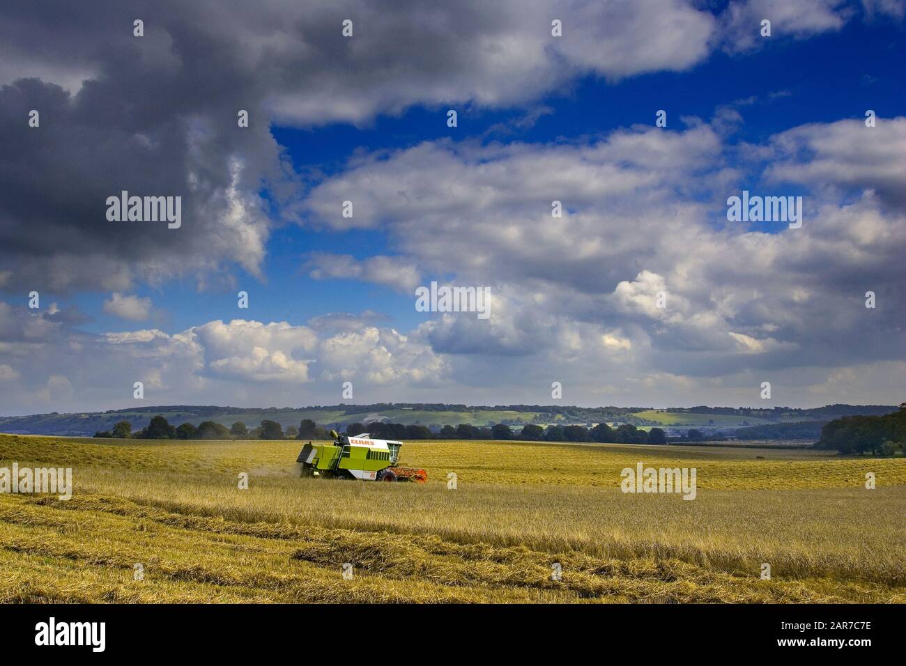 Harvest Cereal Downland Arable Sunny Food Grain Combining Work Countryside Stock Photo