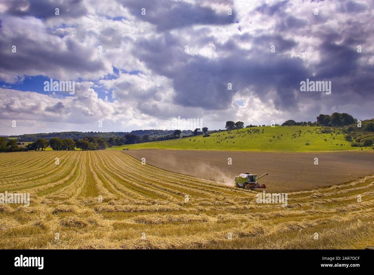 Harvest Cereal Downland Arable Sunny Food Grain Combining Work Countryside Stock Photo
