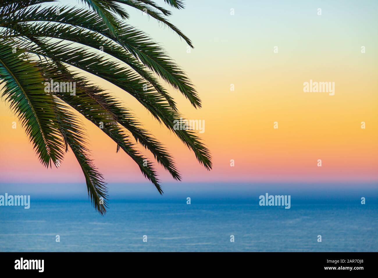 palm fronds silhouette against sunrise over ocean Stock Photo