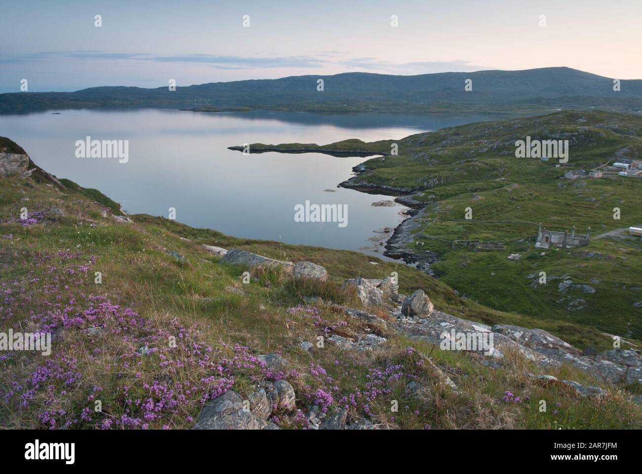 A peaceful evening on the Isle of Harris, with purple heather, moon, calm sea loch and an abandoned croft. Stock Photo
