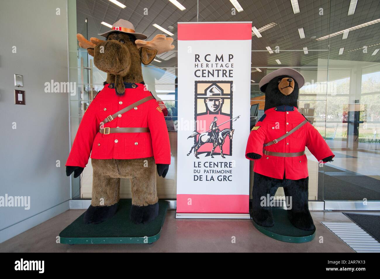 Moose and bear stuffed and dressed as Canadian Mountie, Royal Canadian Mounted Police (RCMP) Heritage Centre, Regina, Saskatchewan, Canada Stock Photo