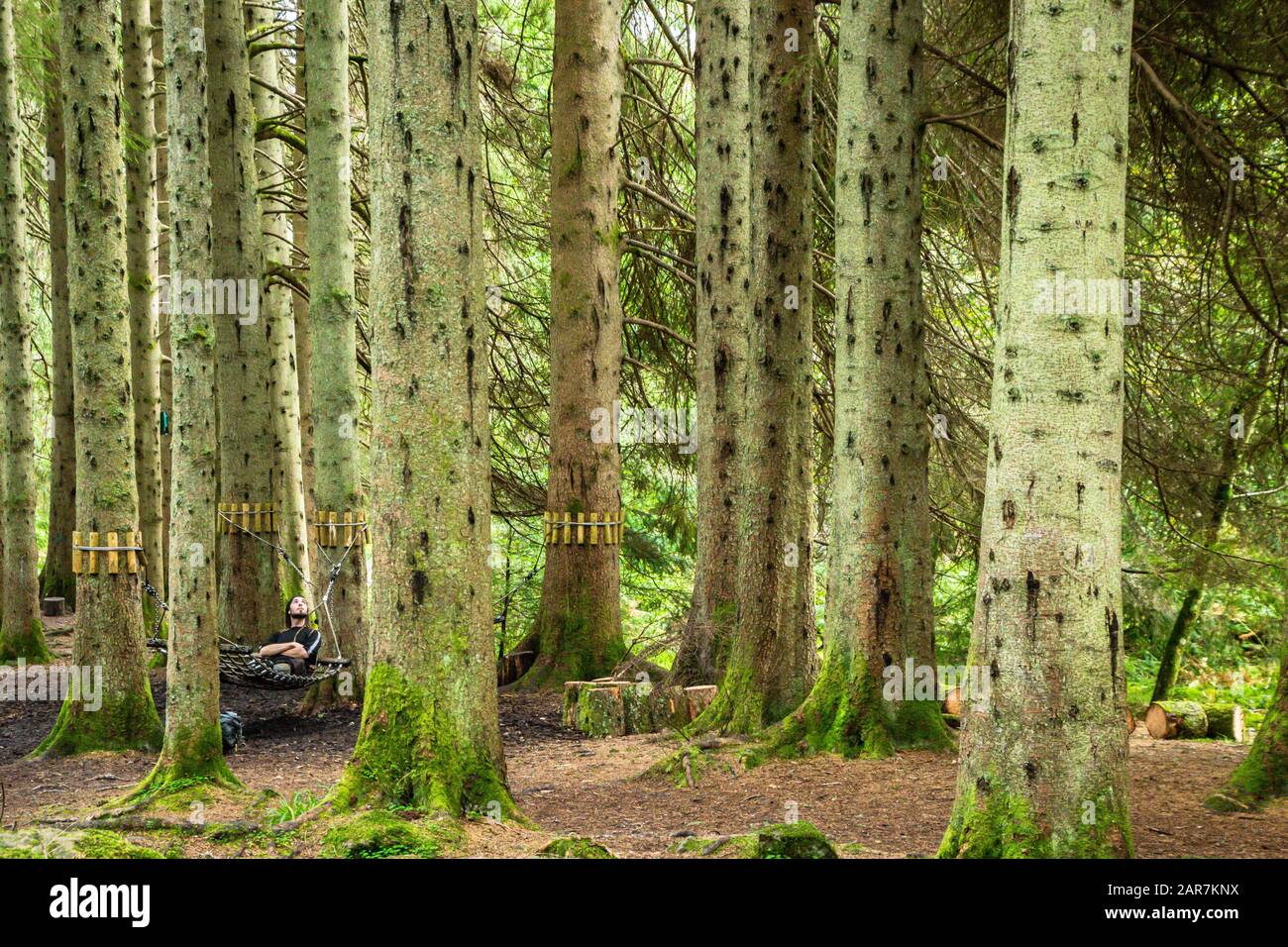 Man among trees hi-res stock photography and images - Alamy