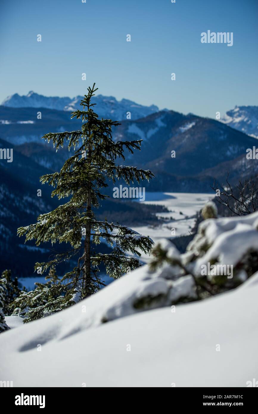 Seekopf, Ruhpolding im WInter Stock Photo Alamy