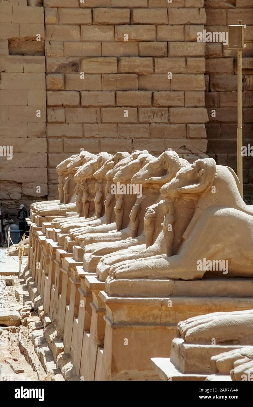 Luxor, Karnak, Egypt, Africa. Avenue of the Sphinxes entering the Temple of Karnak. This section features the ram-headed sphinxes. Stock Photo