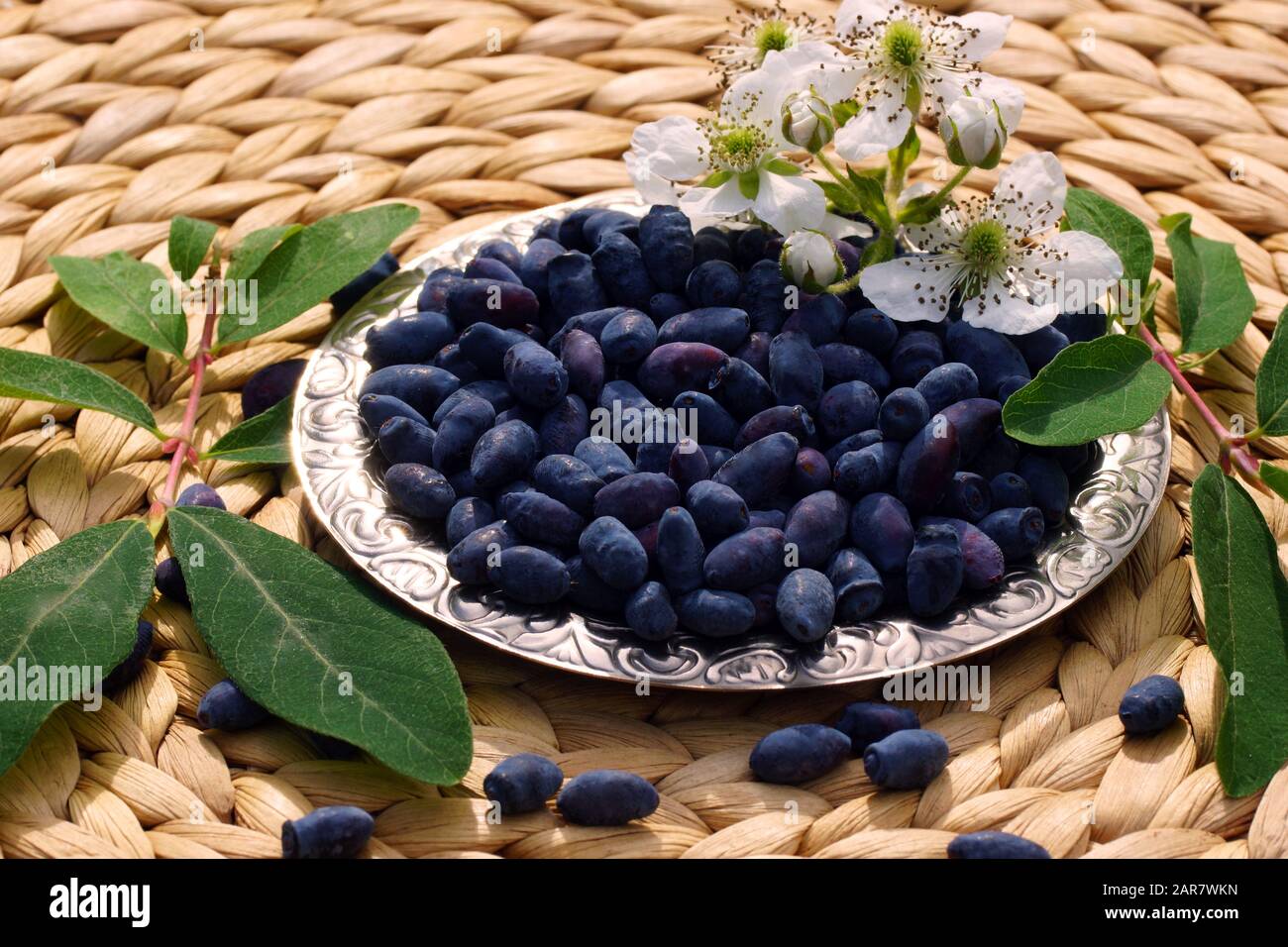 Lonicera caerulea, blue honeysuckle. Honeysuckle berries lie on a plate. Stock Photo