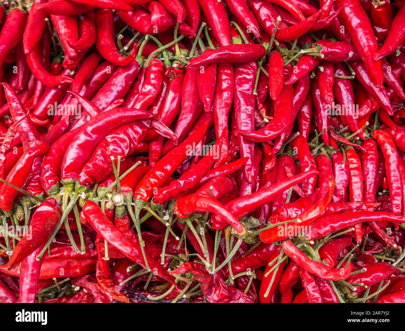 Chillie on the market Stock Photo