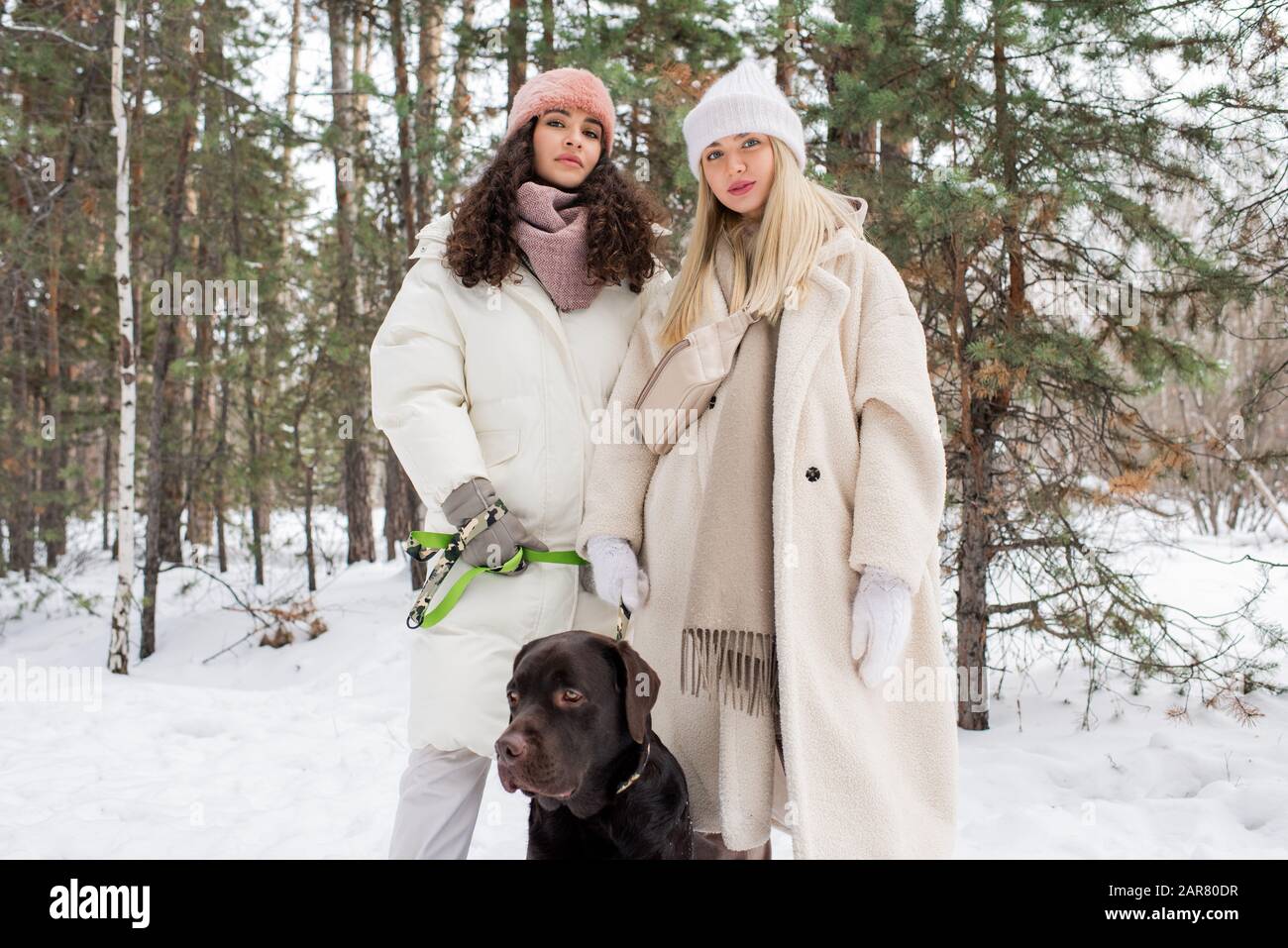 Two young friendly women and black retriever spending winter day in park Stock Photo