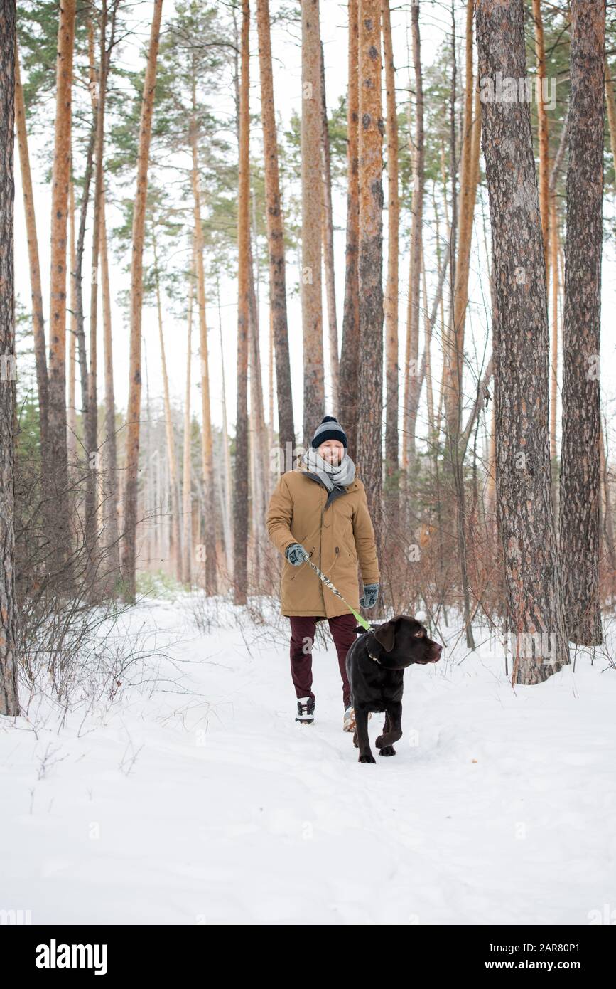 Young man in casual winterwear holding leash while following black retriever Stock Photo