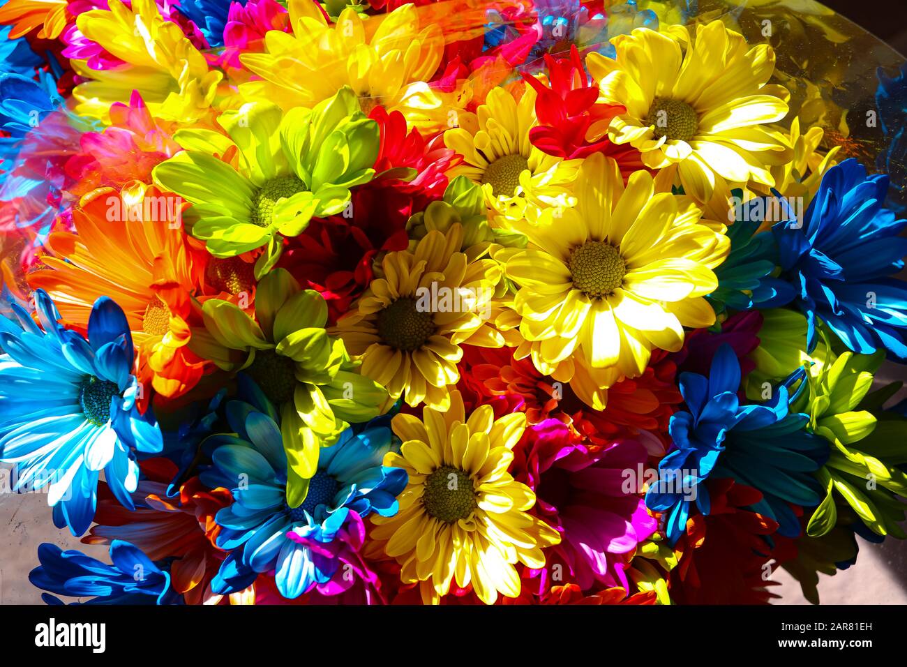close up of bright multi color daisies in bundle Stock Photo - Alamy
