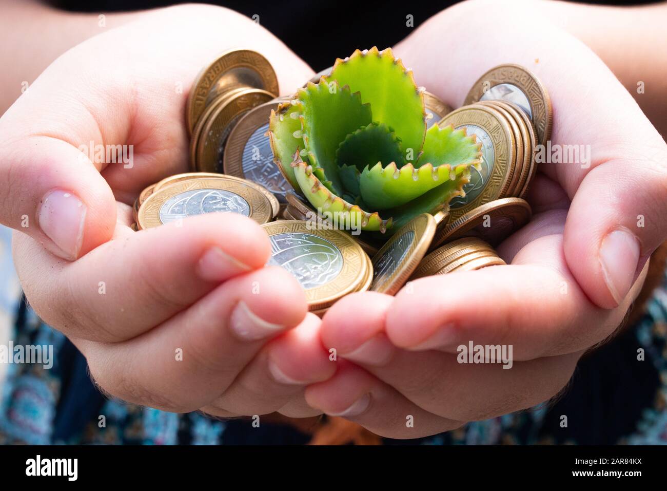 Sustainable agriculture hi-res stock photography and images - Alamy