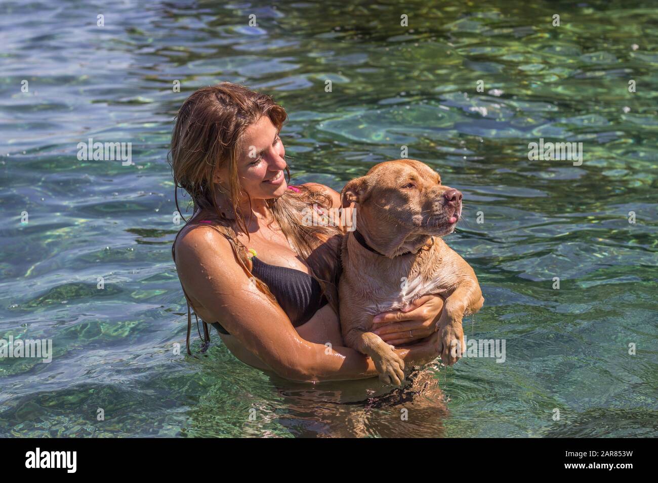 Young woman swimming with her dog at sea lagoon Stock Photo