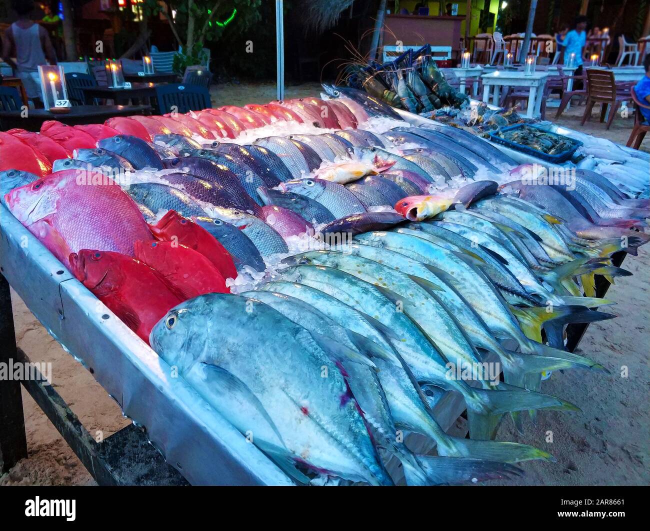 Fresh fish counter in an oceanfront restaurant Stock Photo Alamy