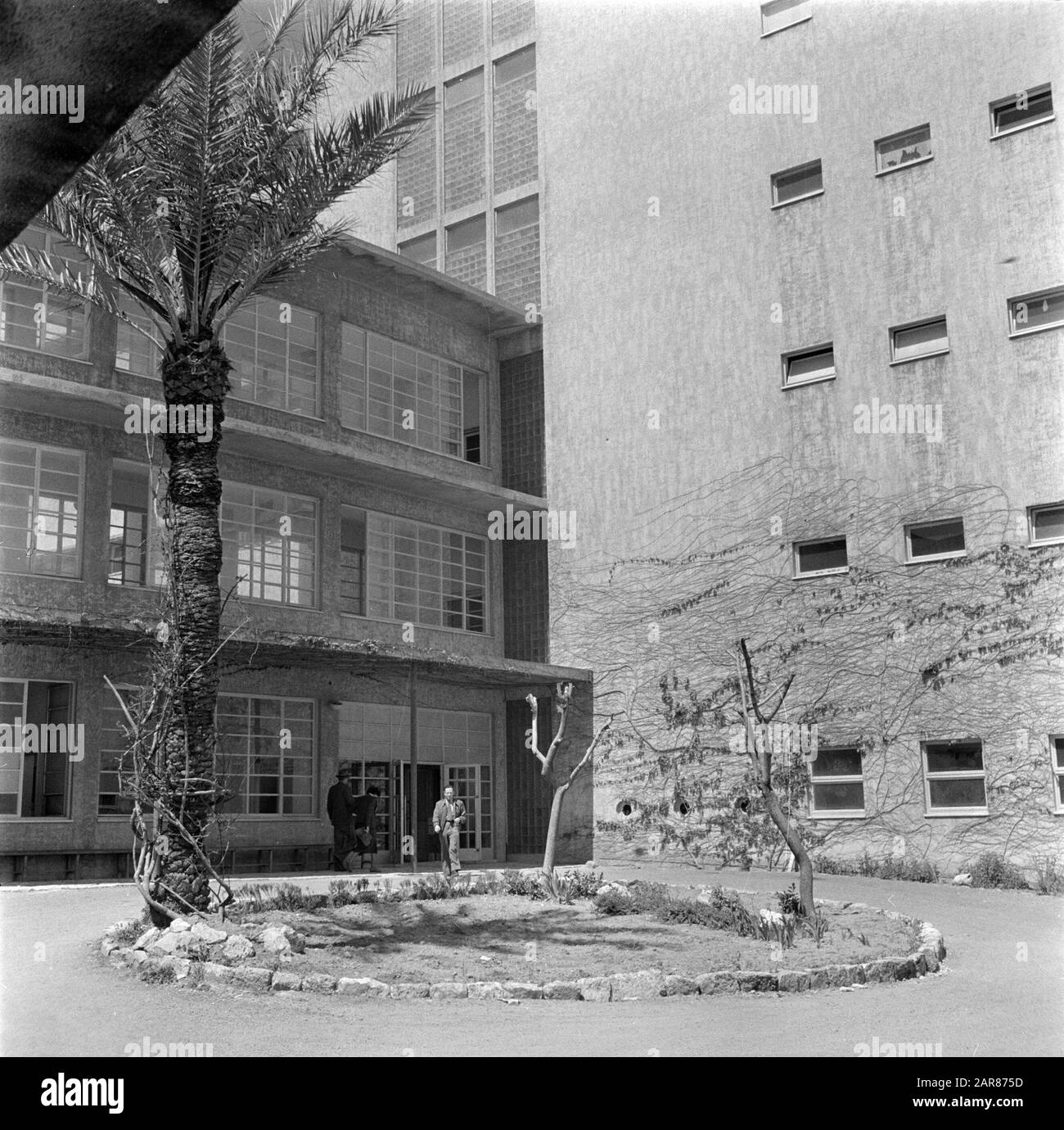 Israel 1948-1949: Haifa  Government Hospital with a bed for it Date: 1948 Location: Haifa, Israel Keywords: architecture, healthcare, landscaping, windows, hospitals Stock Photo