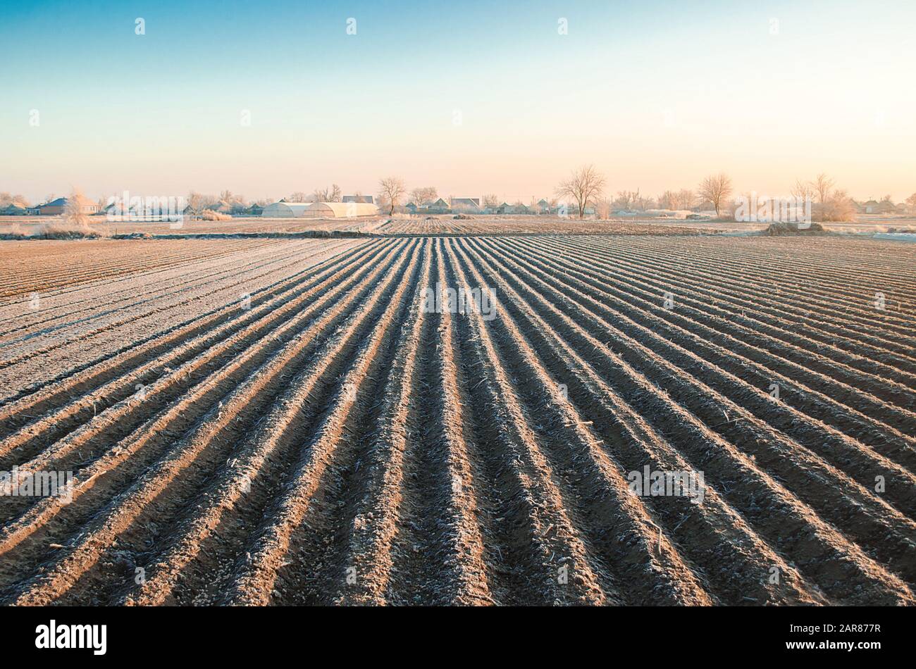 Winter farming field ready for new planting season. Spring sowing campaign. Agriculture and agribusiness. Protection from spring frosts. Cultivation o Stock Photo