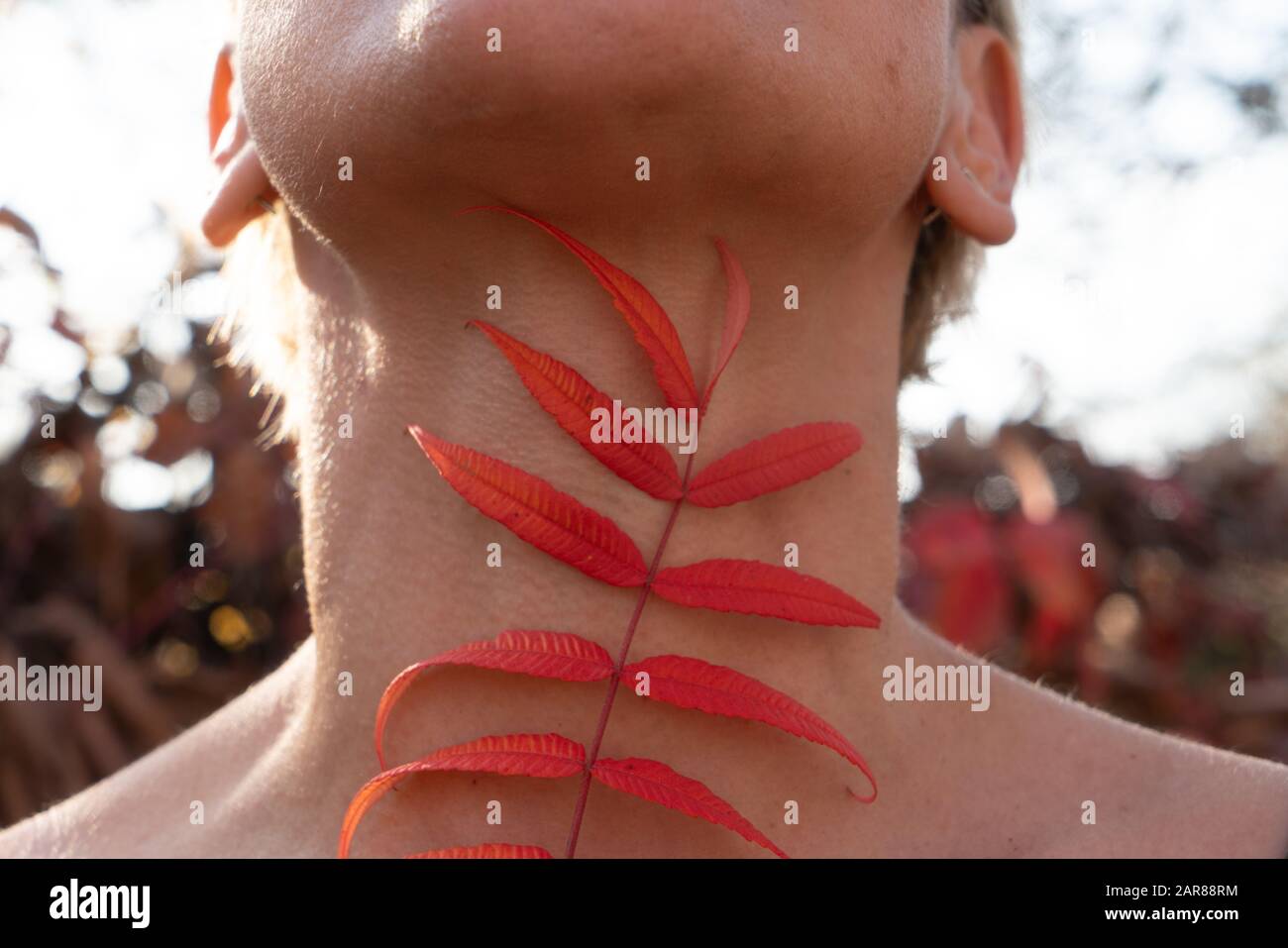 Human body paint hi-res stock photography and images - Alamy