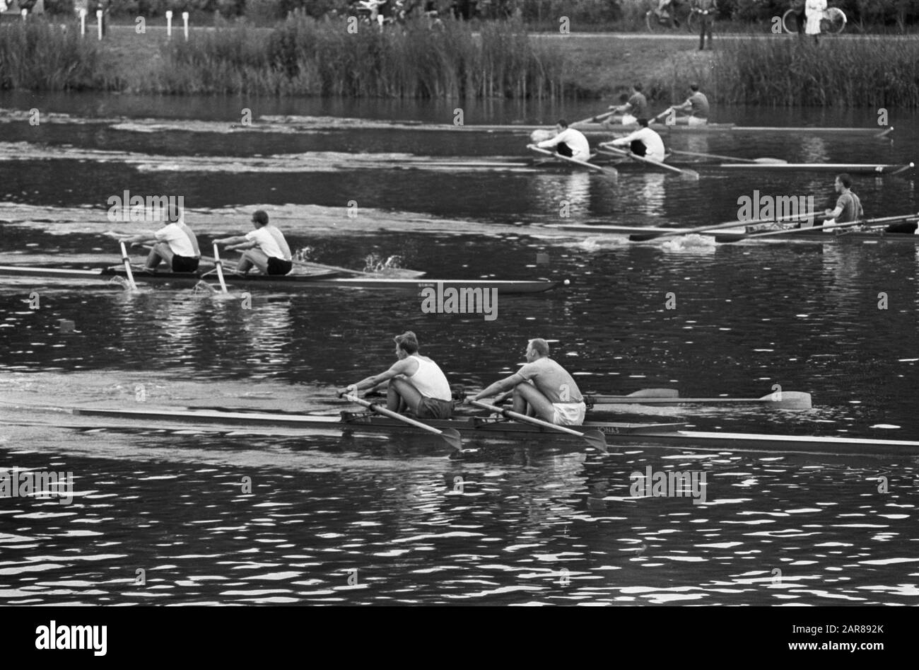 Rowing at the Bosbaan rowing, rowing boats, competitions, sport, Aegir