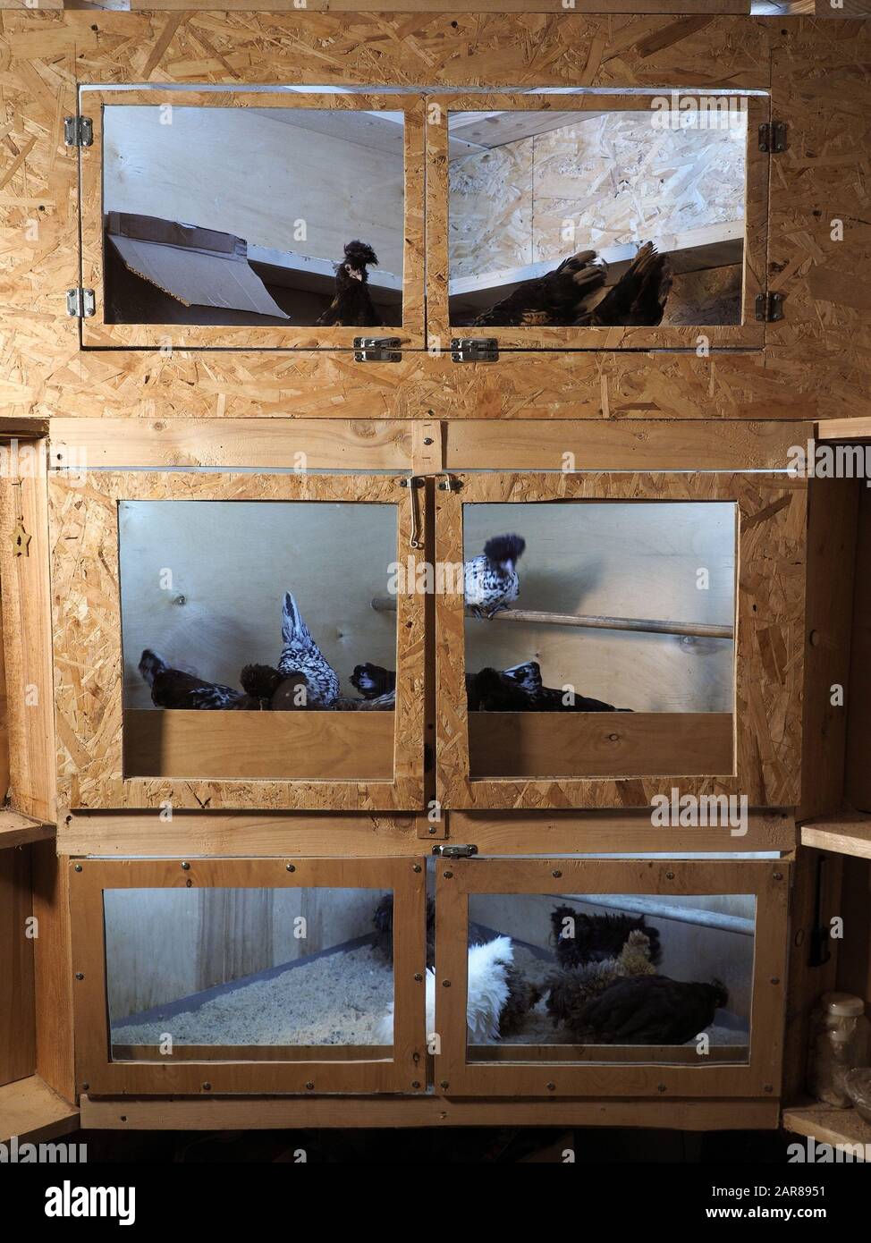 Brooder hires stock photography and images Alamy